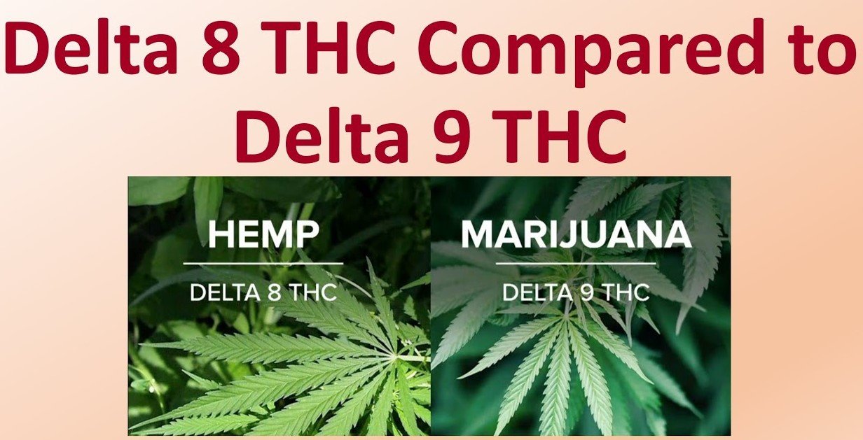 The Difference Between Delta 8 And 9 THC - Top Shelf Distro