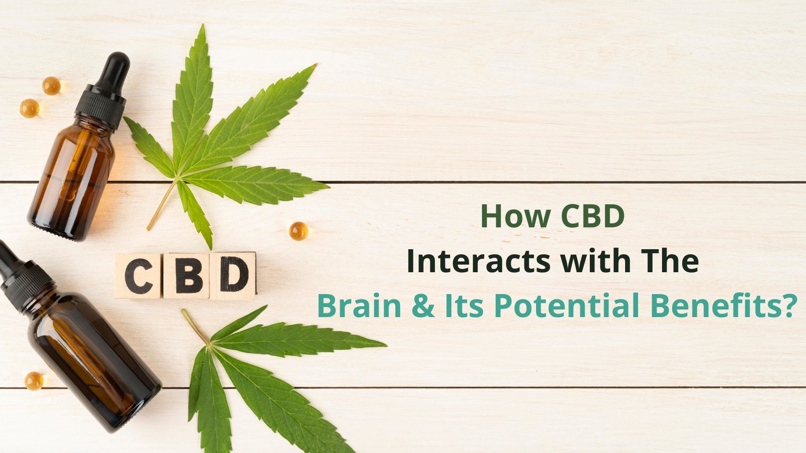 How CBD Interacts With The Brain And Its Potential Benefits?