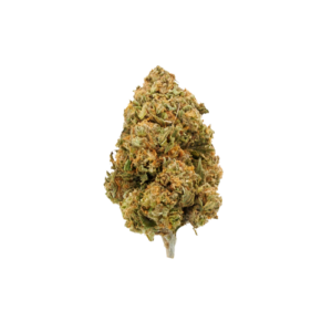 AFGHAN GOO INDICA – HTC