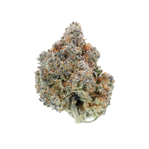 APPLE FRITTER INDOOR HYBRID – HTC