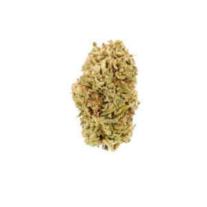 BLOOD ORANGE SATIVA – HTC