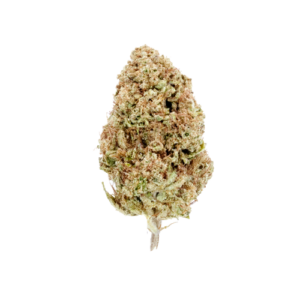 CHERRY PIE INDICA – HTC